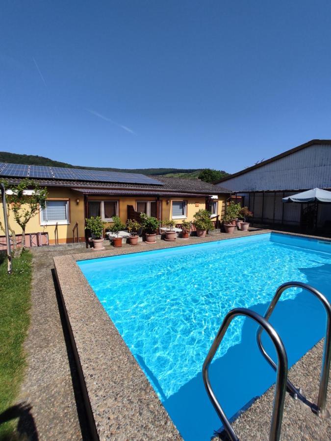 Moselferienweingut Schaefer Apartment Wintrich Exterior photo